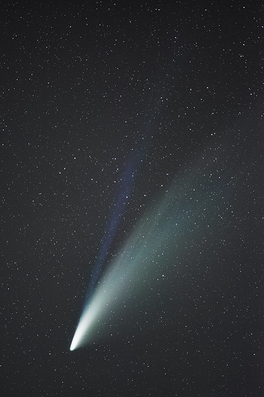 Cometa Neowise
